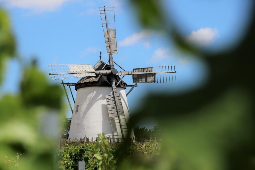 hidden windmill | Künstler/in Member of AKM/austromechana. Troubadour. 2026 a fascinating journey began with Tatjana my AI muse✨ METISSIREN set sails and left the harbor ⛵
