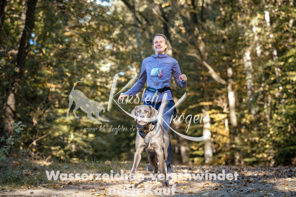 1041_ZZ90693 | kk-dogfotos