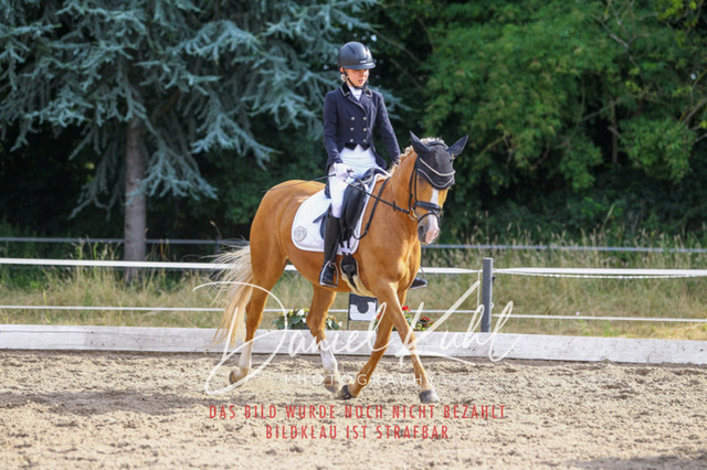 DKP45768 | Turniersportfotografie; Pferdefotografie; Dressurfotografie