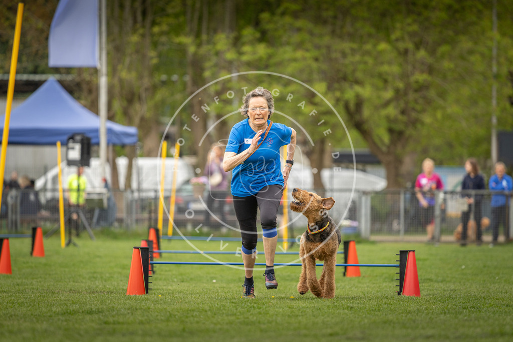 Pfotenfotografie_DV3A8418 | Hundefotografie, Tierfotograf, Pfotenfotografie, Fotoshooting Hund, Hunde Portrait, Hundesport, Hundeportraits, Heideshooting, Hunde, Sportfotograf, Hundefotograf, Turnierhundsport, THS,  - Realisiert mit Pictrs.com