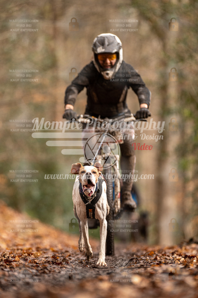 SPA_2023_DIM_Bike-82 | PayLife
