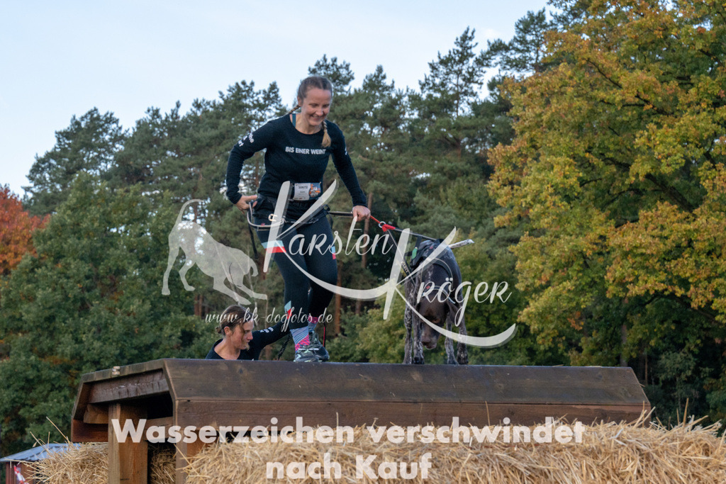 0849_ZZ91468 | kk-dogfotos