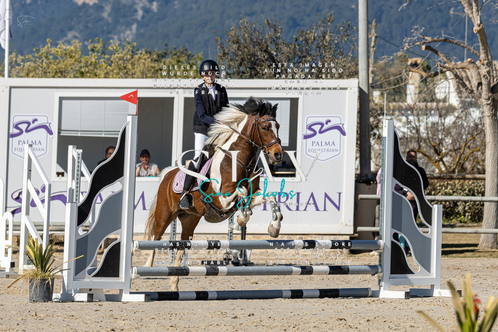 IMG_8801 | s-jay-photography - Realisiert mit Pictrs.com