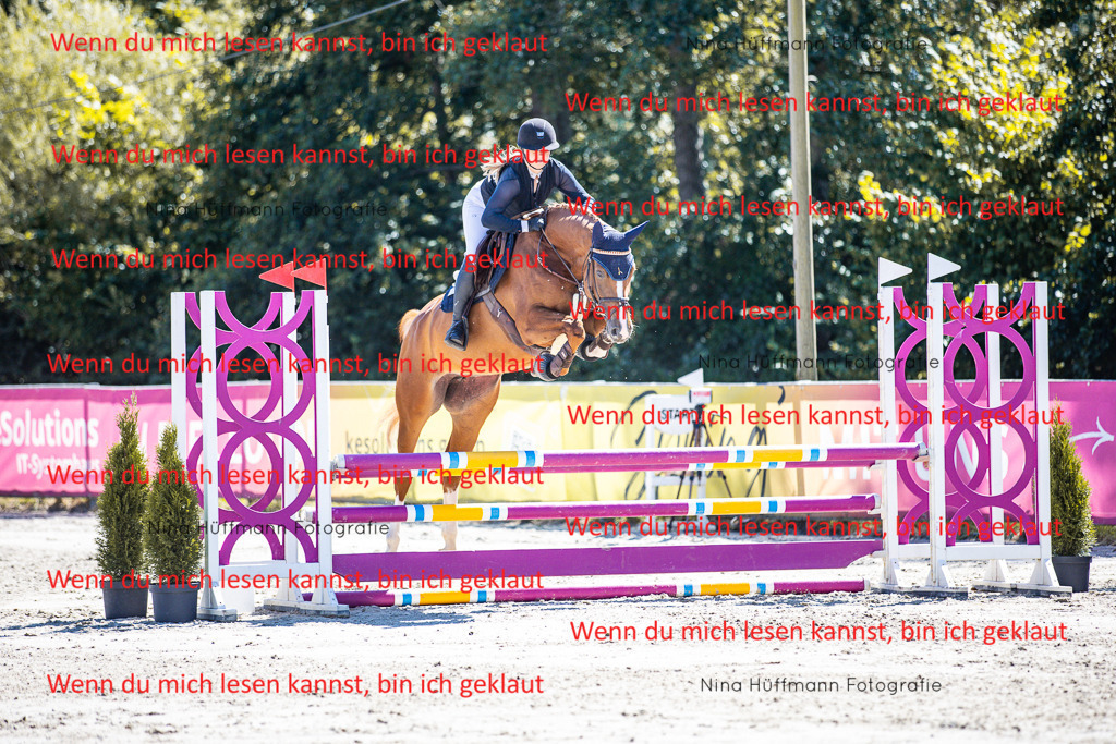 BK1A5463 | Turnierbilder Turnierfotos Nina Hüffmann Turnierfotografie Pferdefotografie Tierzeichnung Haustierzeichnung Pferdezeichnung Hundezeichnung Videograf  - Realisiert mit Pictrs.com