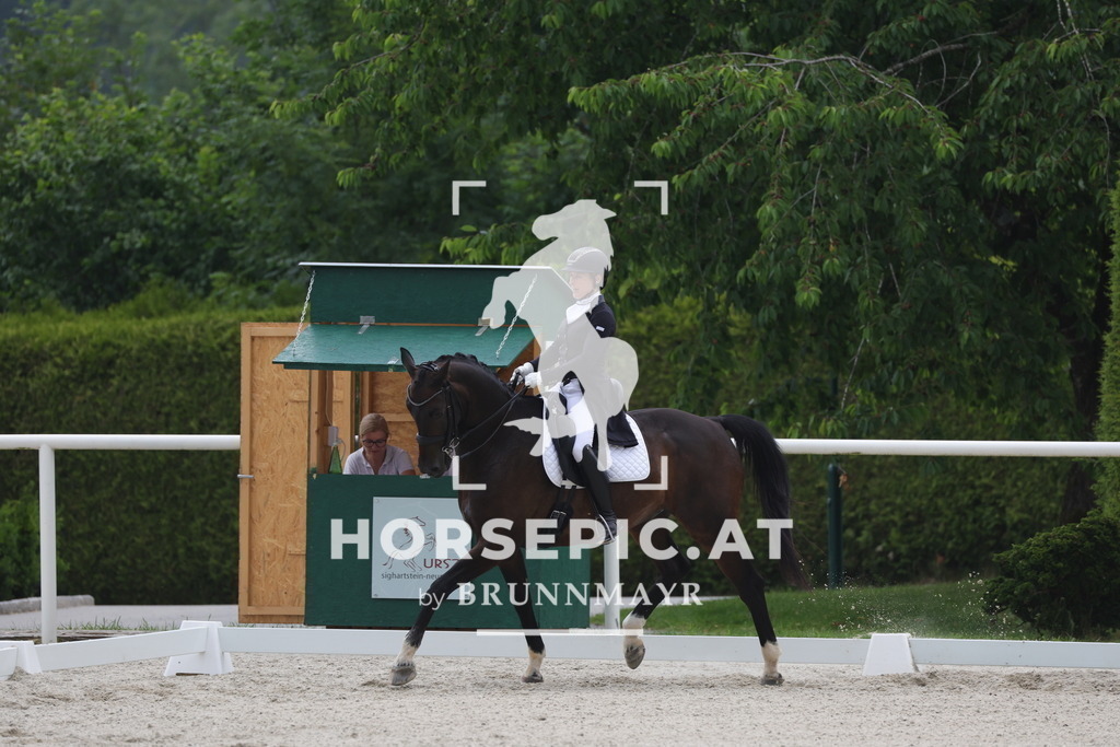 0P6A6978 | Willkommen bei Brunnmayr - Design & Fotografie – Ihrem Spezialisten für Reitturniere und Pferdeveranstaltungen in Oberösterreich, Salzburg und Bayern! Seit über 17 Jahren sind wir leidenschaftlich dabei.