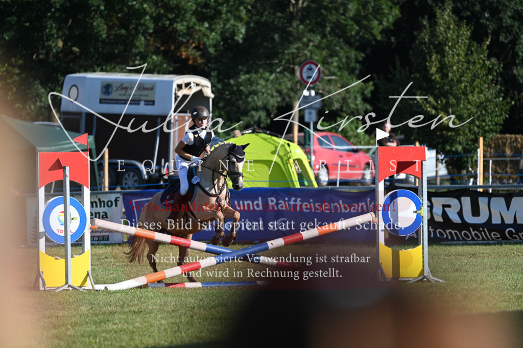 DSC_4908 | Pferde- und Turnierfotografie in Westsachsen. Pferdeportraits, Auftragszeichnungen und intuitive Kunst.