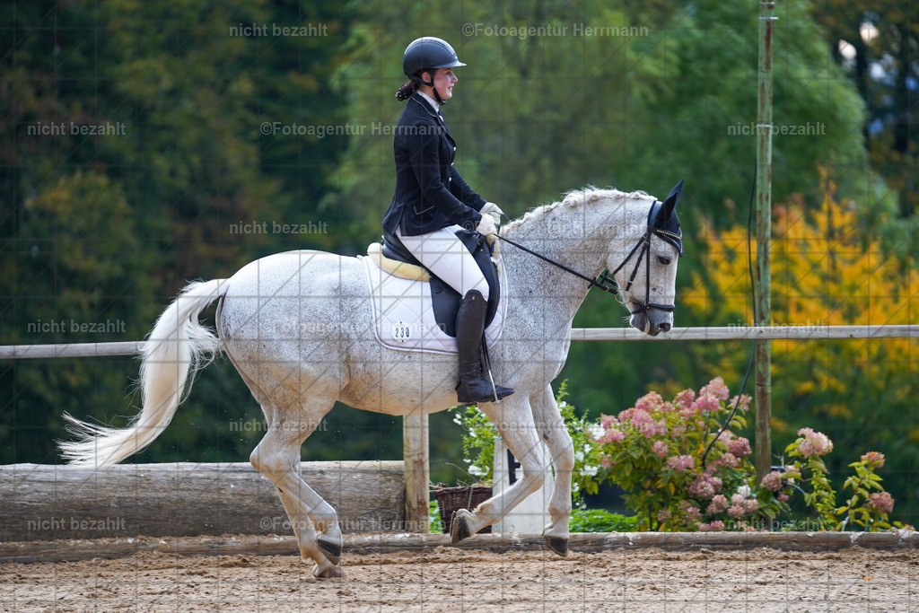 20221008-FAH00728 | Diessen am Ammersee, 2022, Dressur- und Springturnier, Reitsportbilder, Turnierfotografen Bayern, Pferdefotografen, Fotoagentur Herrmann, Turnierbilder