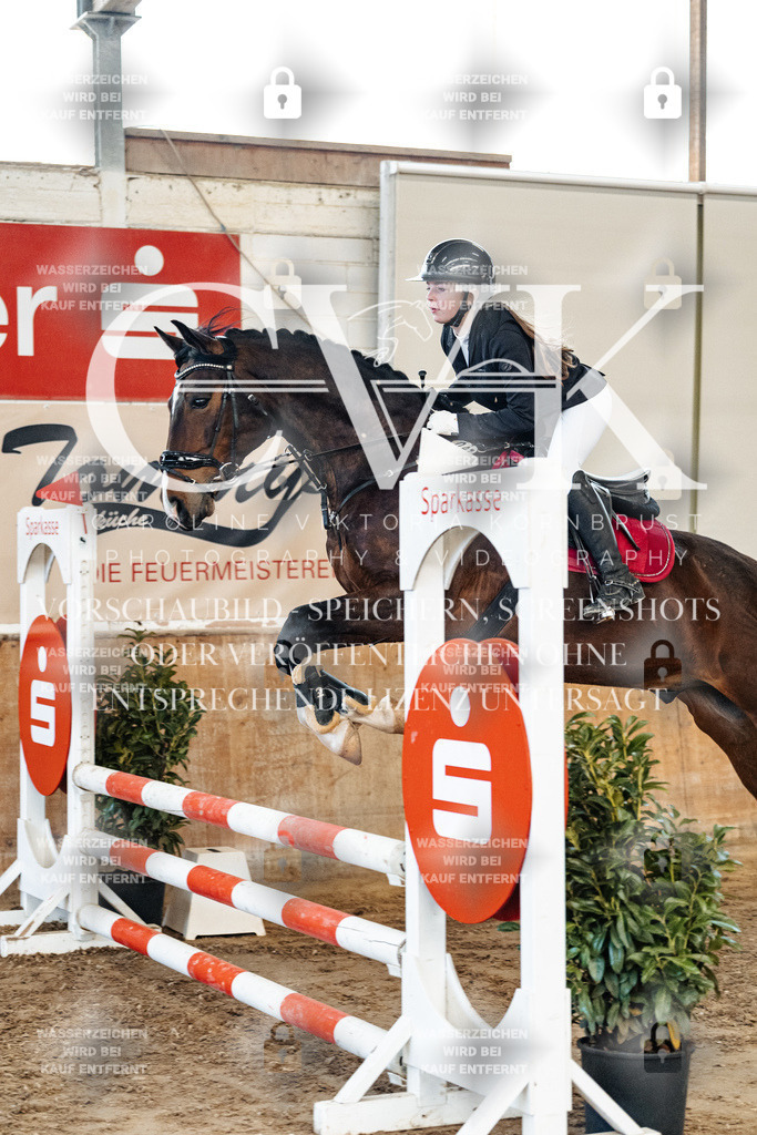 CK904514 | Turnierfotografie Pferdefotografie Trier Rheinland-Pfalz Pferdesport Reitsport Tierfotografie Sportfotografie Pferdevideo Pferdevideografie Equestrianvideography equestrianphotography  - Realized with Pictrs.com