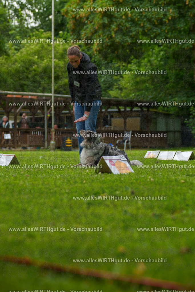 @allesWIRTHgut_Tierfotografie - www.allesWIRTHgut.de - 7R500329 | Professionelle Tierfotografie in Mönchengladbach von Daniel Wirth (allesWIRTHgut). Liebevolle & natürliche Bilder von Hunden & Katzen für unvergessliche Erinnerungen.