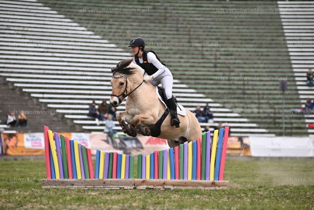 PI26_Show_Sara_Landvogt_226_0845.JPG | working equitationturnier fotograf videograf stoibphotography marixx film working equitation deutschland reitsport turnierfotografie eventfotografie equestrian events