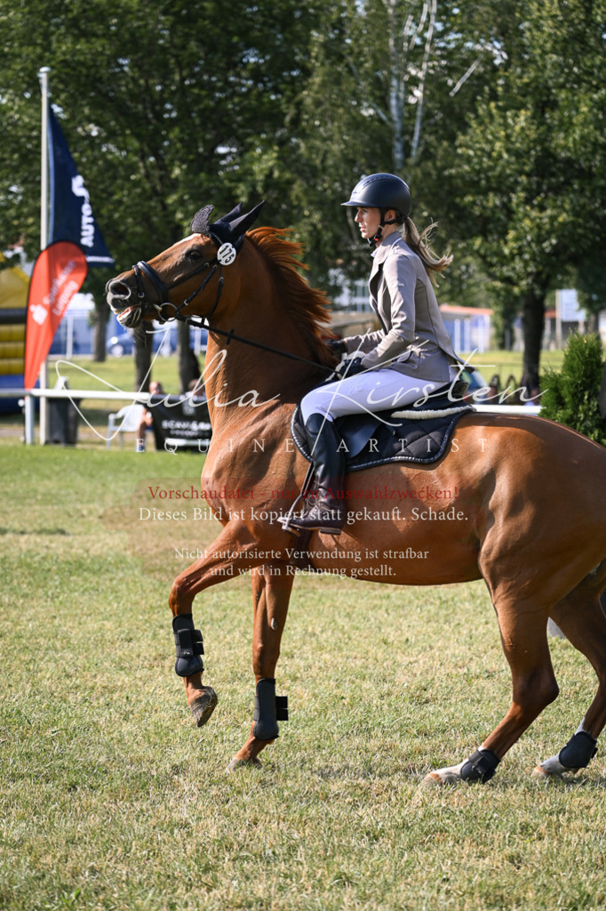 DSC_1284 | Pferde- und Turnierfotografie in Westsachsen. Pferdeportraits, Auftragszeichnungen und intuitive Kunst.