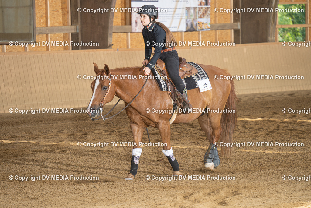 DSC00045 | dv-media-shop - Realisiert mit Pictrs.com