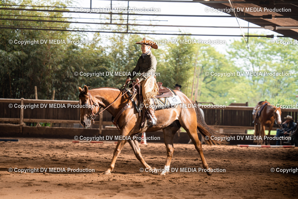 Erbach Tag 2-452 | dv-media-shop - Realisiert mit Pictrs.com