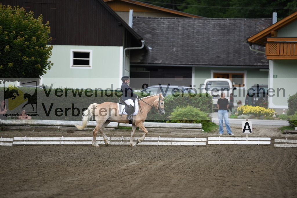DSC_3670 | equestrian-live-com