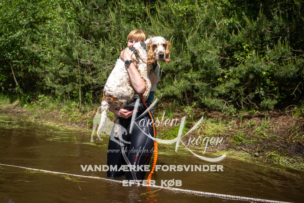 DK K992169141433 | kk-dogfotos