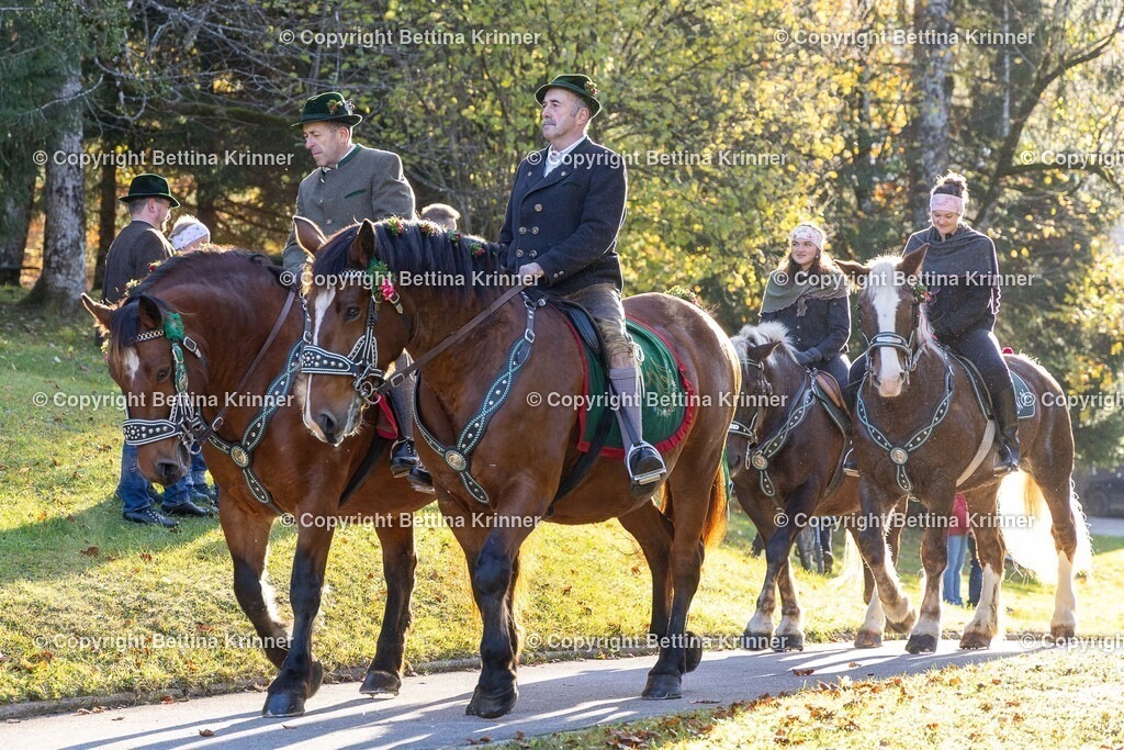 LL24-185 | foto-bettina-krinner - Realisiert mit Pictrs.com