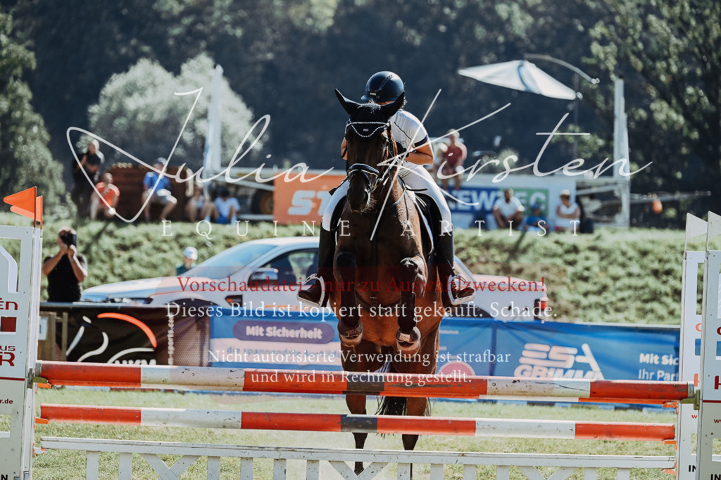 DSC_5960 | Pferde- und Turnierfotografie in Westsachsen. Pferdeportraits, Auftragszeichnungen und intuitive Kunst.