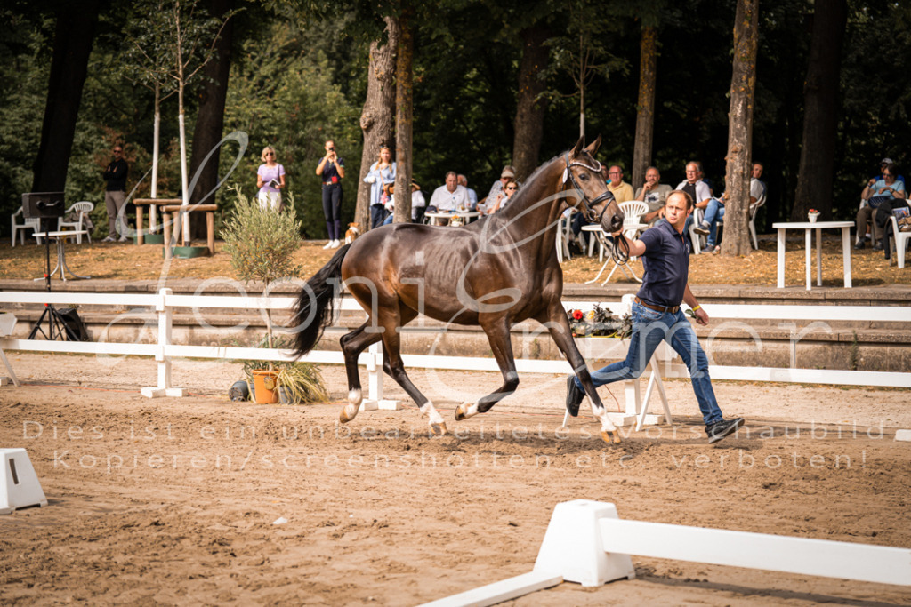 6.Fr00072 | Leoni Ertmer Photography - Realisiert mit Pictrs.com