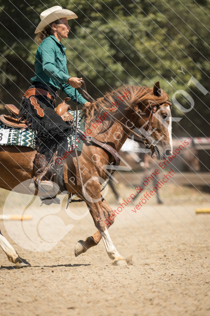 IMG_0113 | Sport-, Event- und Tierfotos in Profiqualität. Einfach auswählen, bestellen und herunterladen. Dein Moment – perfekt festgehalten.