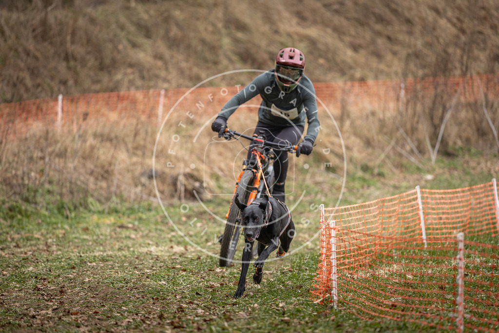Pfotenfotografie_DV3A6863 | Hundefotografie, Tierfotograf, Pfotenfotografie, Fotoshooting Hund, Hunde Portrait, Hundesport, Hundeportraits, Heideshooting, Hunde, Sportfotograf, Hundefotograf, Turnierhundsport, THS,  - Realisiert mit Pictrs.com