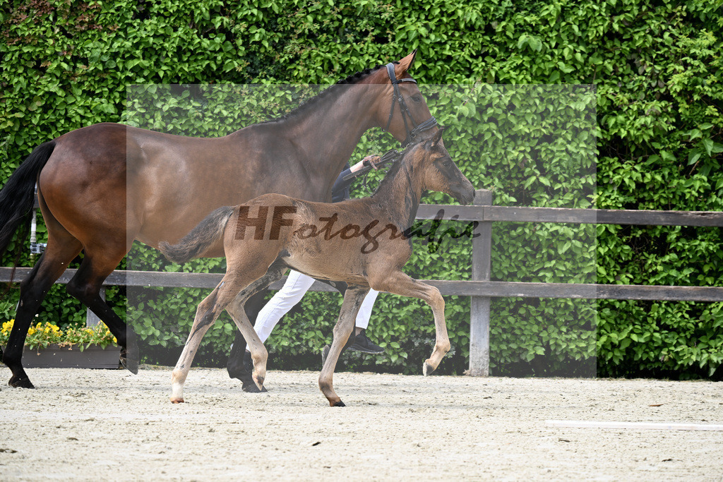 Kat-Nr. 4 Bonhoeffer x Danone_Zweckl_25240215 | hf-fotografie - Realisiert mit Pictrs.com