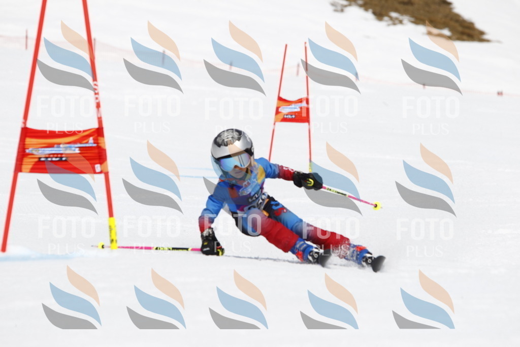 _U3G6511 | holidayphoto