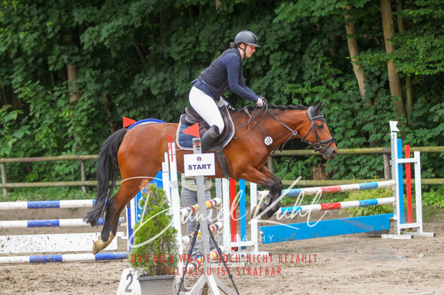 DKP45008 | Turnierfotos kaufen im Webshop von Daniel Kuhl Photography – entdecke professionelle Reitsportfotos aus Turnieren & Events. Hochwertige Turnierbilder online bestellen & sichern. Jetzt Fotos von Reitsportturnieren kaufen!