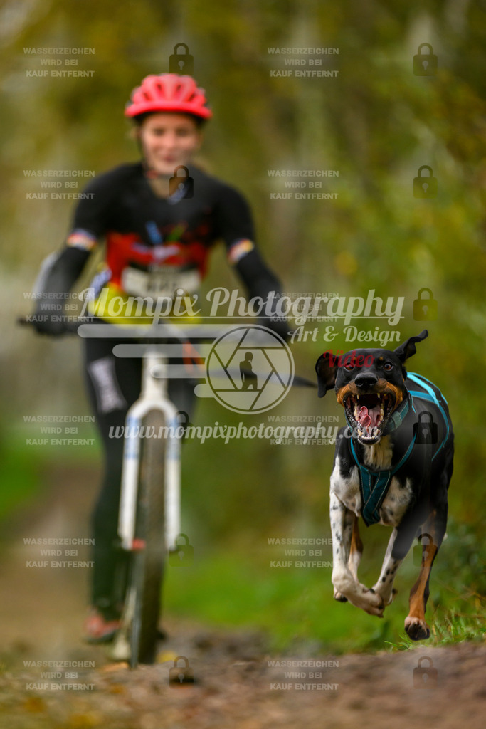 MompixPhotography_20TSB_E6_DS1-64 | PayLife