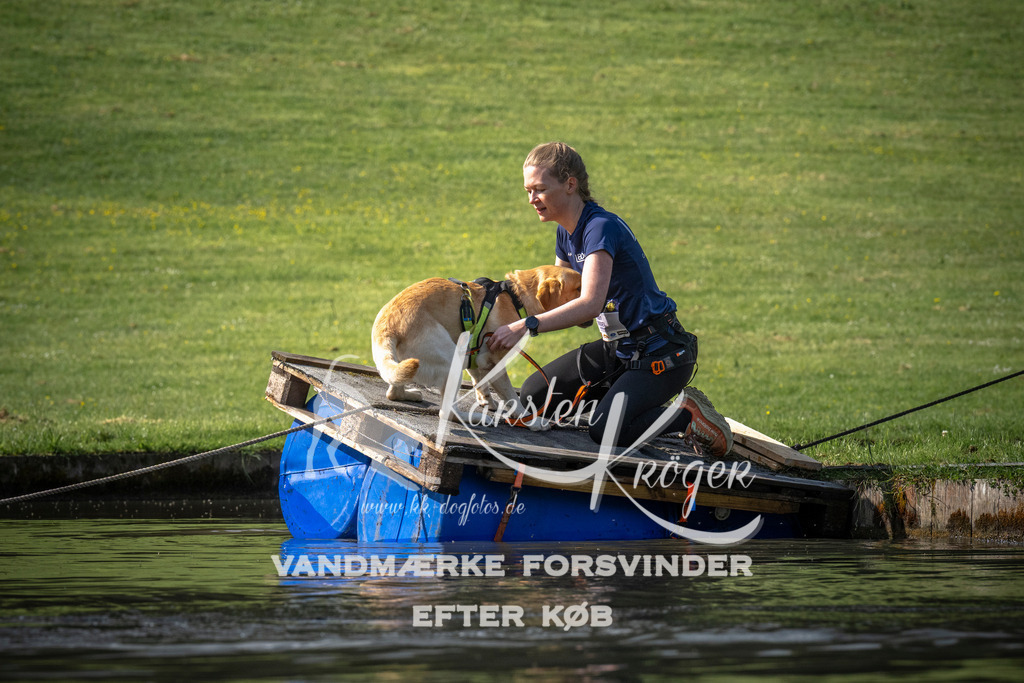 0831_ZZ99398 | kk-dogfotos