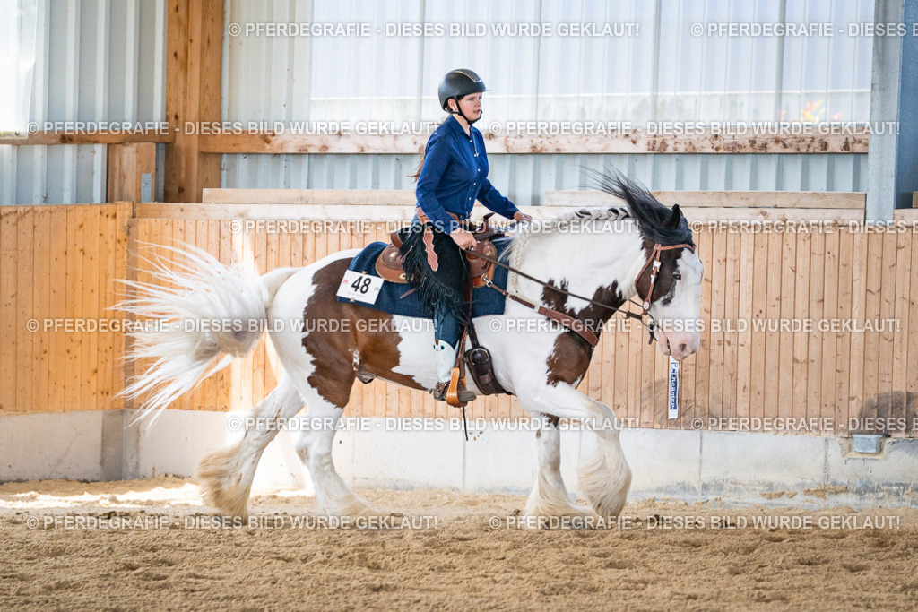 DSC03664 | Pferdegrafie