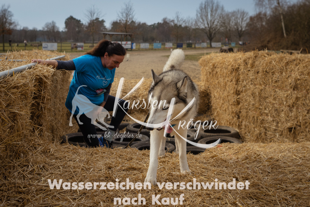 1134_ZZ94673 | kk-dogfotos