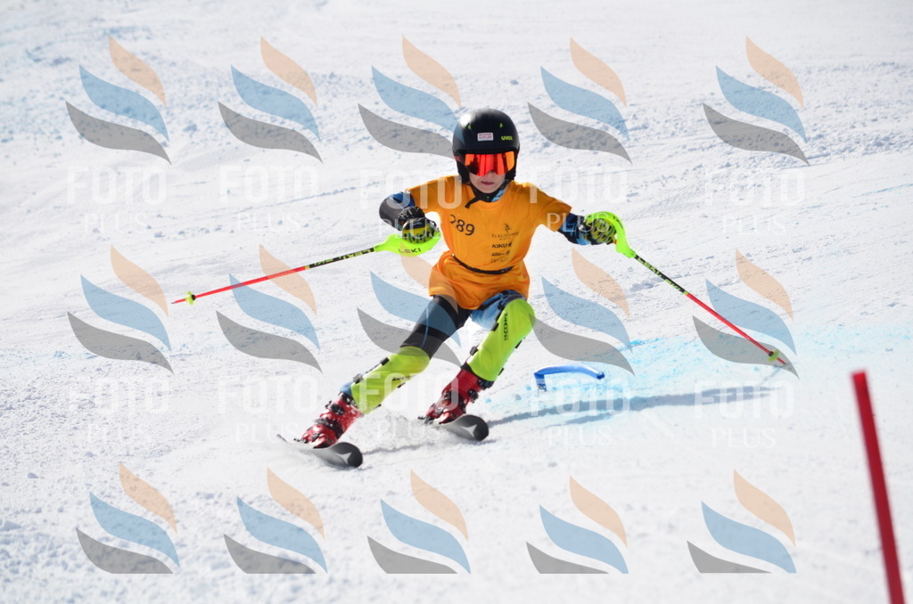 C8687 | holidayphoto