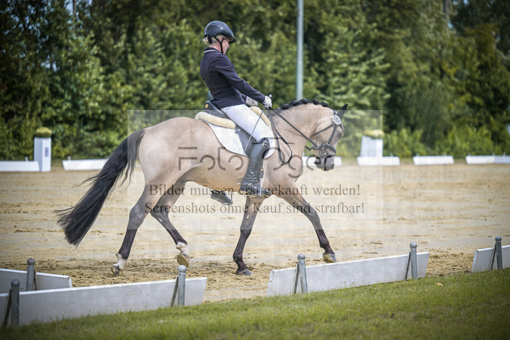 DOS_0188 | Entdecke hochwertige Reitturnierfotos von Foto Oger. Professionell, emotional und authentisch – jetzt Lieblingsmomente im Shop bestellen.Deutschlandweite Turnierfotografie. - Realisiert mit Pictrs.com