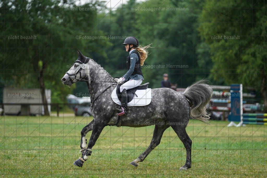 20230701-FAH00379 | Reitturnier Grafing, 2023, Grafing-Aiterndorf, Spribgturnier, Dressurturnier, Bilder, Qualifikation Nürnberger Burgpokal, Fotoagentur Herrmann, Turnierfotografen Bayern, Turnierbilder Bayern, Reitrsportfoto