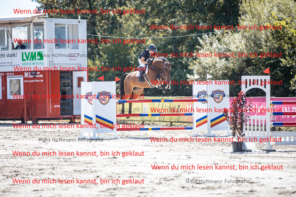 BK1A6338 | Turnierbilder Turnierfotos Nina Hüffmann Turnierfotografie Pferdefotografie Tierzeichnung Haustierzeichnung Pferdezeichnung Hundezeichnung Videograf  - Realisiert mit Pictrs.com