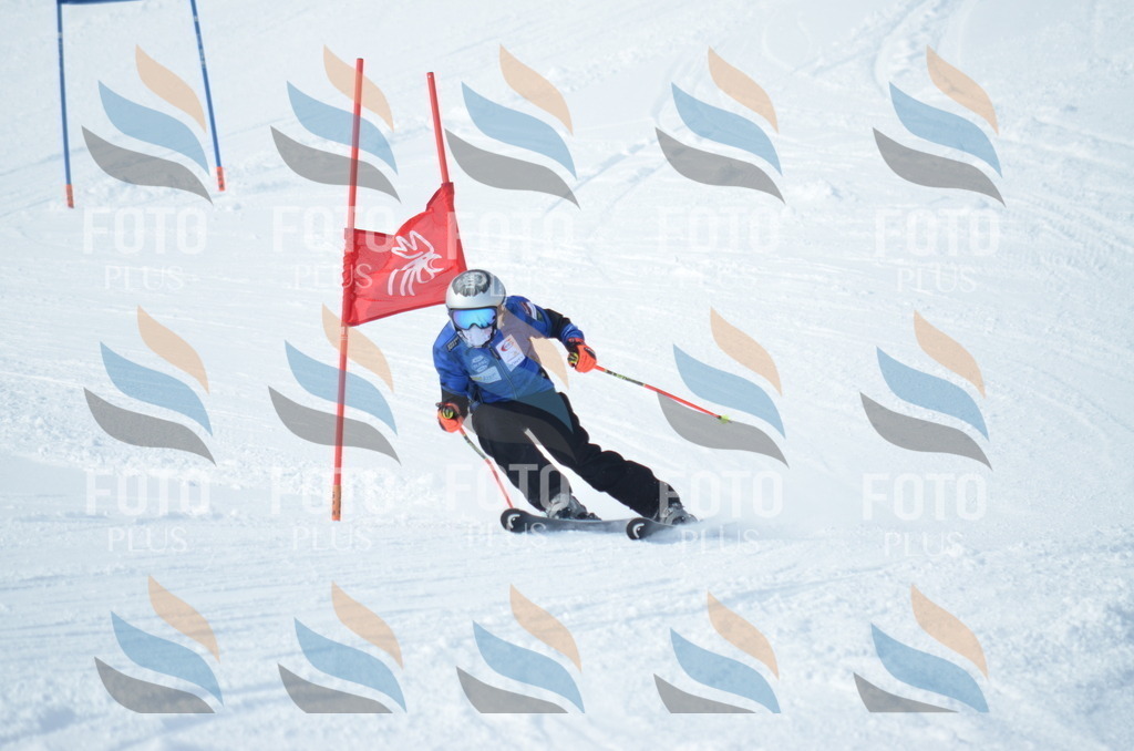 D8886 | holidayphoto