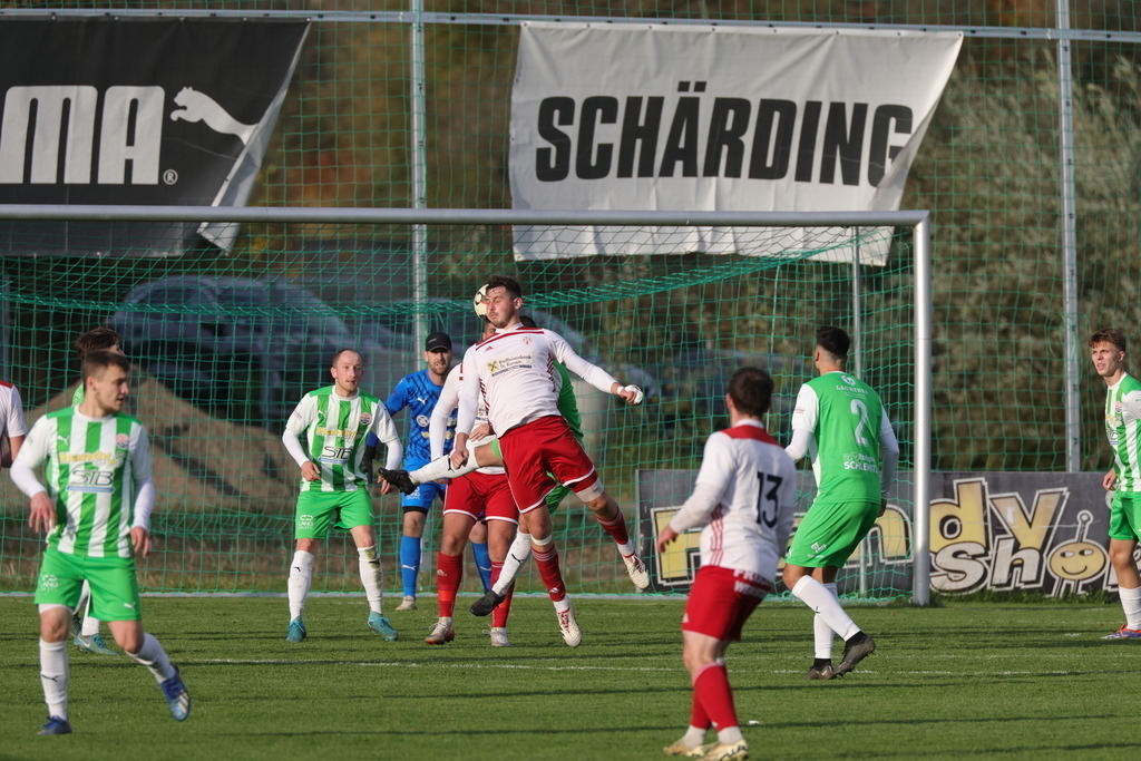 0P6A5019 | Willkommen bei Brunnmayr - Design & Fotografie – Ihrem Spezialisten für Reitturniere und Pferdeveranstaltungen in Oberösterreich, Salzburg und Bayern! Seit über 17 Jahren sind wir leidenschaftlich dabei.