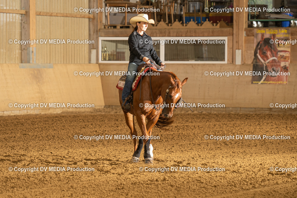 LAU00351 | dv-media-shop - Realisiert mit Pictrs.com