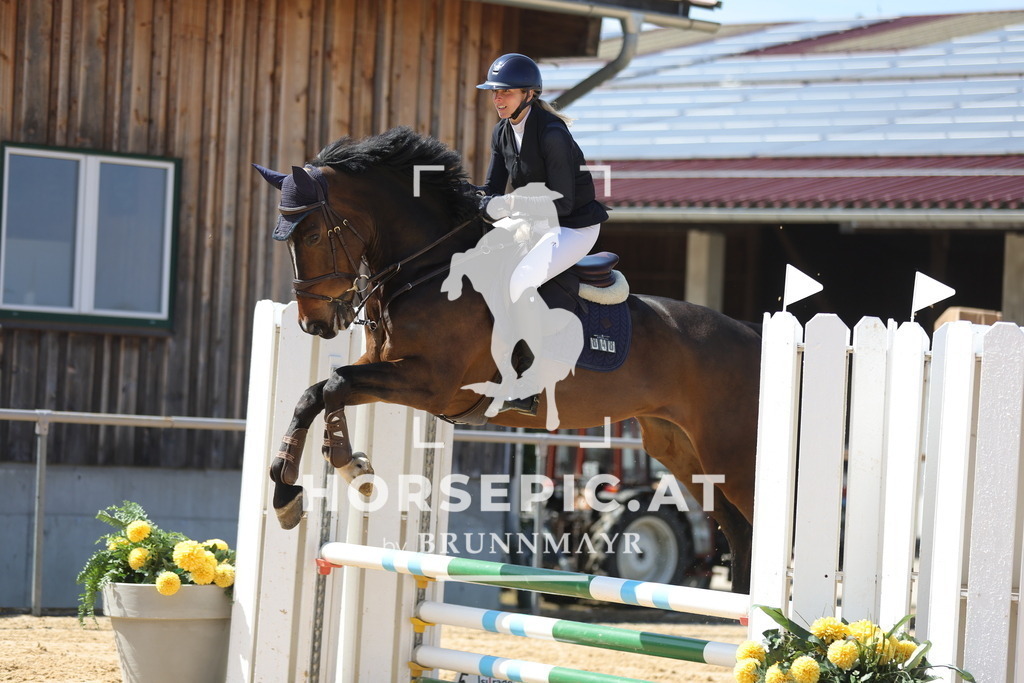 0P6A0264 | Willkommen bei Brunnmayr - Design & Fotografie – Ihrem Spezialisten für Reitturniere und Pferdeveranstaltungen in Oberösterreich, Salzburg und Bayern! Seit über 17 Jahren sind wir leidenschaftlich dabei.