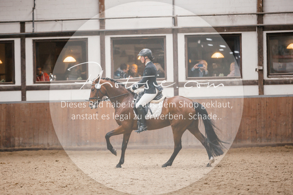 3I6A7910 | Stimmungsvolle Portraits und Reitsportfotografie im Ruhrgebiet und im Münsterland.

Pferdefotografie, Hundefotografie, Tierfotografie, Reportagen, Portraits von Tier und Mensch, Turnierfotografie in Bochum, Recklinghausen, Marl, Haltern am See, Dülmen.. - Realisiert mit Pictrs.com