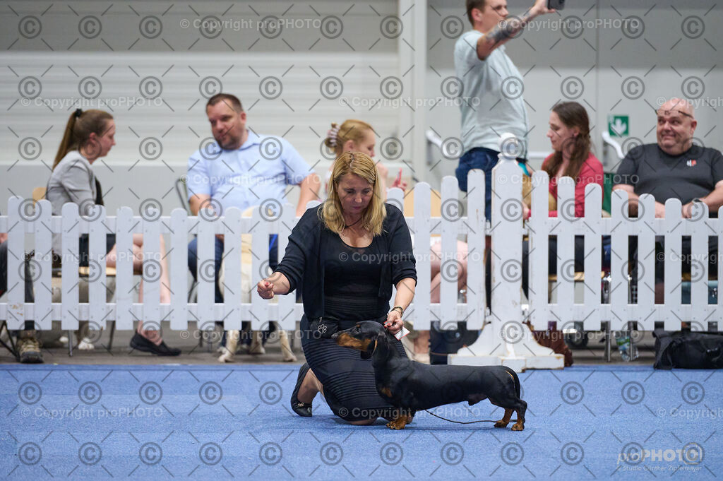 202406_ÖKV-IHA-Tulln24_DSC_3008 | proPHOTO - Realisiert mit Pictrs.com