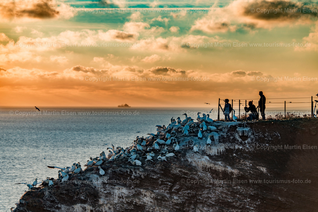 Helgoland Bastölpel_ELS_2507030818 | Helgoland - Aufnahmedatum: 31.07.2018, Aufnahmehöhe:  m, Koordinaten:  - , Bildgröße: 8072 x  5382 Pixel - Copyright 2018 by Martin Elsen, Kontakt: Tel.: +49 157 74581206, E-Mail: info@schoenes-foto.deSchlagwörter:Schleswig-Holstein,Landkreis Pinneberg,Düne,Hochseeinsel,Börteboote,Meer,Küste,Halunder,Oberland,Unterland,Strand,Seehunde,Robben,Lange Anna,Felsen,Roter Felsen,Luftbild,Luftbilder,Bastölpel - Realisiert mit Pictrs.com