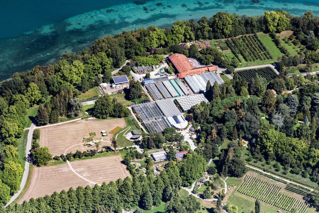 dr__0058808.jpg | KONSTANZ 20.08.2020 Glasdach- Flächen in den Gewächshaus Reihen zur Blumenzucht Schmetterlingshaus der Mainau in Konstanz im Bundesland Baden-Württemberg, Deutschland. // Glass roof surfaces in the greenhouse rows for Floriculture in Konstanz in the state Baden-Wuerttemberg, Germany. Foto: Daniel Reiter