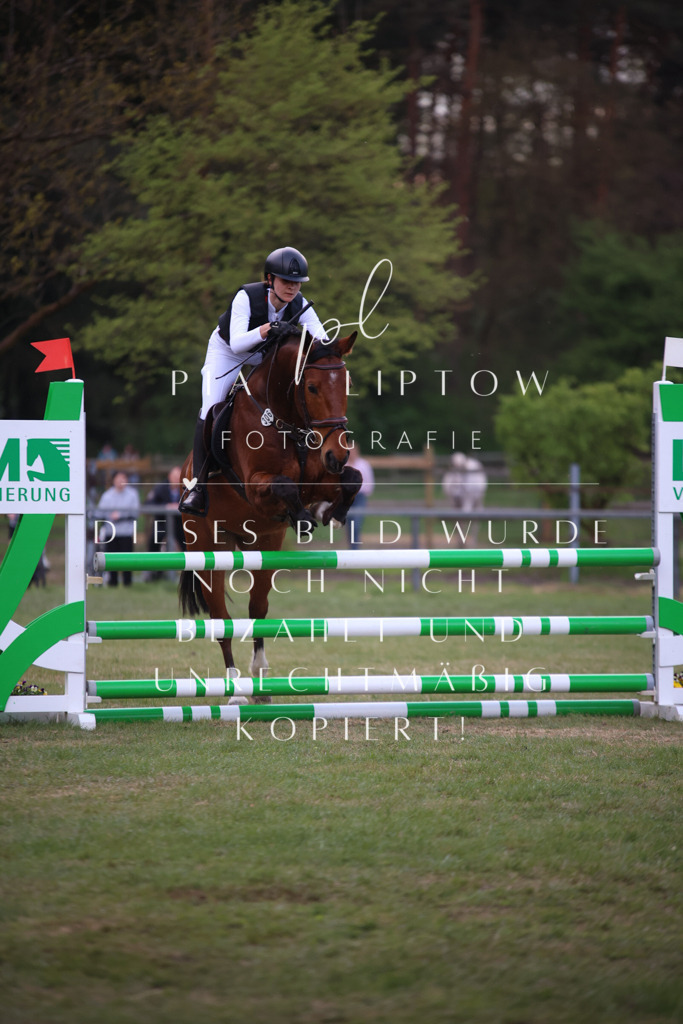 IMGT9508 | pl-fotografie