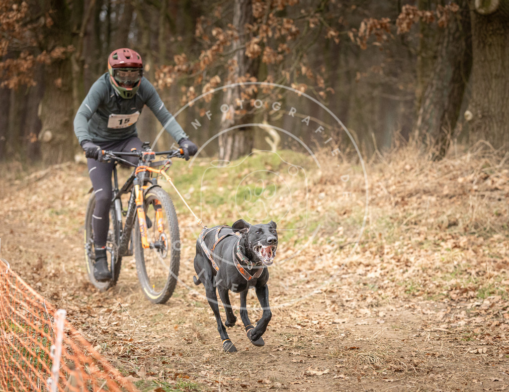 Pfotenfotografie_DV3A2712 | Hundefotografie, Tierfotograf, Pfotenfotografie, Fotoshooting Hund, Hunde Portrait, Hundesport, Hundeportraits, Heideshooting, Hunde, Sportfotograf, Hundefotograf, Turnierhundsport, THS,  - Realisiert mit Pictrs.com