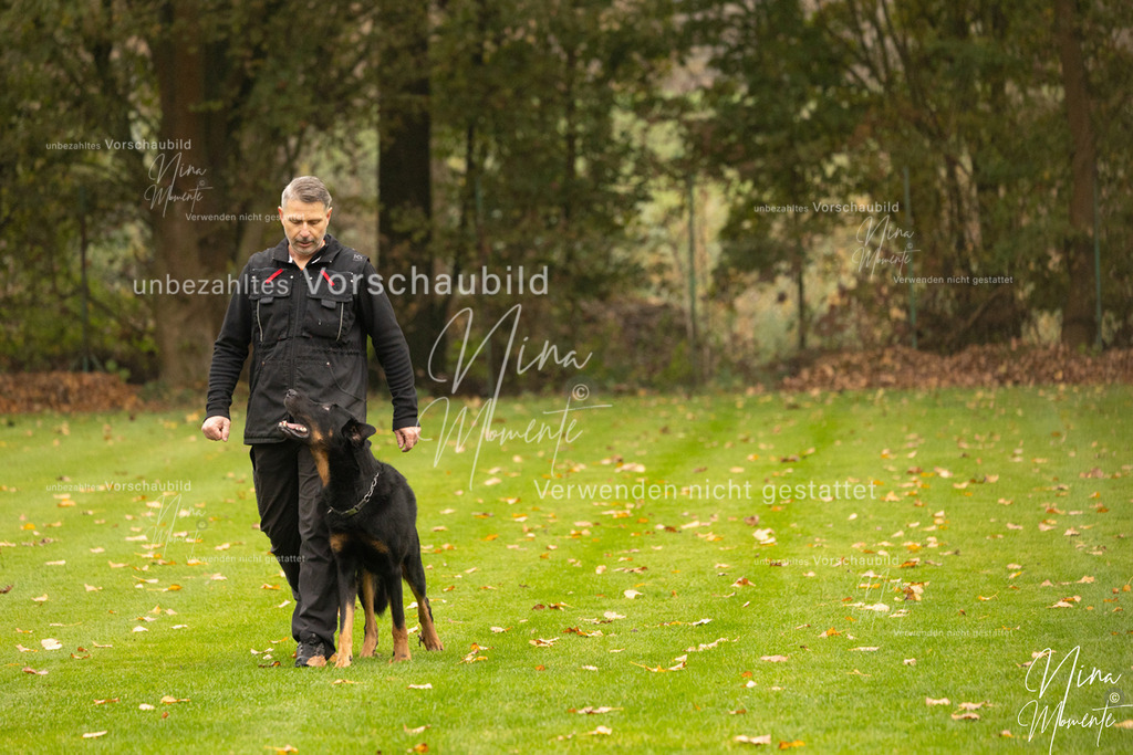 _16A0642 | Einzigartige Fotos von Hunden & Menschen –Actionfotos, Portraits, Vereinsaufnahmen & Paarshootings – authentisch, lebendig & mit Herz.