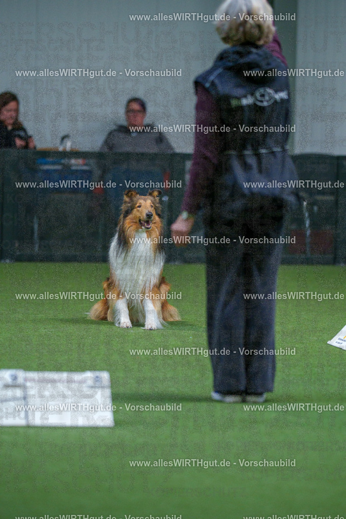 7R502105 | Professionelle Tierfotografie in Mönchengladbach von Daniel Wirth (allesWIRTHgut). Liebevolle & natürliche Bilder von Hunden & Katzen für unvergessliche Erinnerungen.