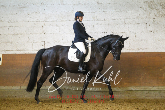 DKP43524 | Turniersportfotografie; Pferdefotografie; Dressurfotografie