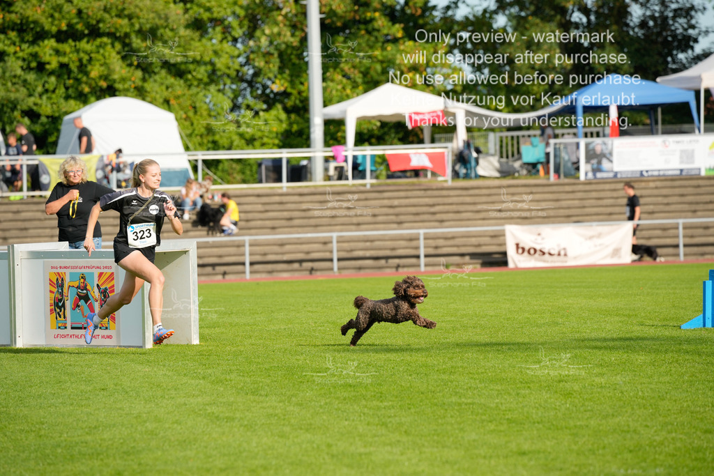 Samstag_CSC (1925 von 2023) | stephaniefillaphotographie - Realisiert mit Pictrs.com