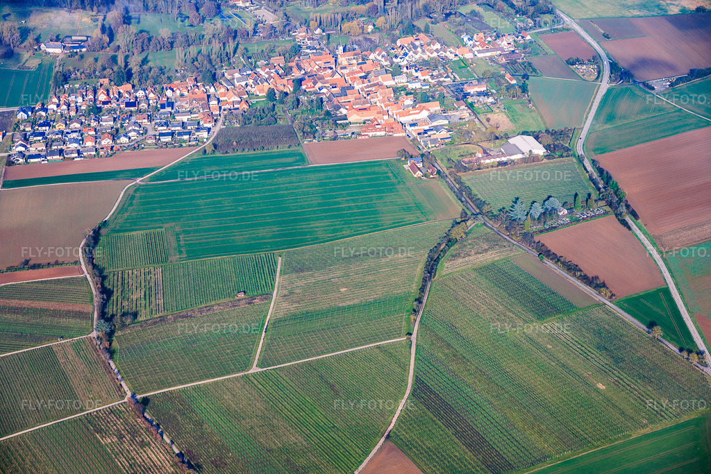 Luftbild: Ortsansicht von Süden im Ortsteil Mühlhofen in Billigheim-Ingenheim im Bundesland Rheinland-Pfalz in Deutschland. Foto: IMG_153142.jpg vom 25.02.2026 durch Werner Riehm/FLY-FOTO.de